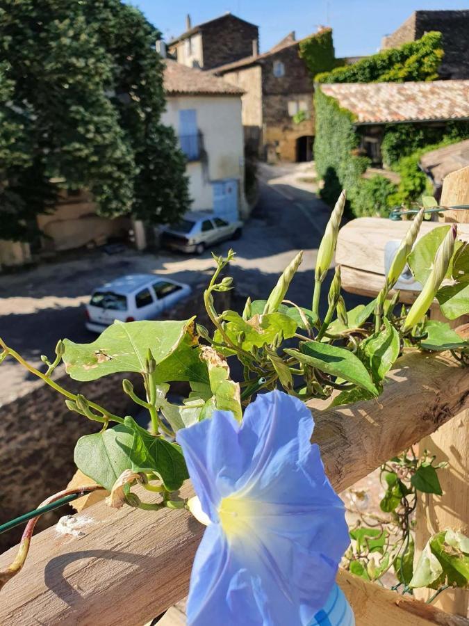 L'exquishette De Lourmarin, Un Nid Sur Les Toits. Hébergement de vacances