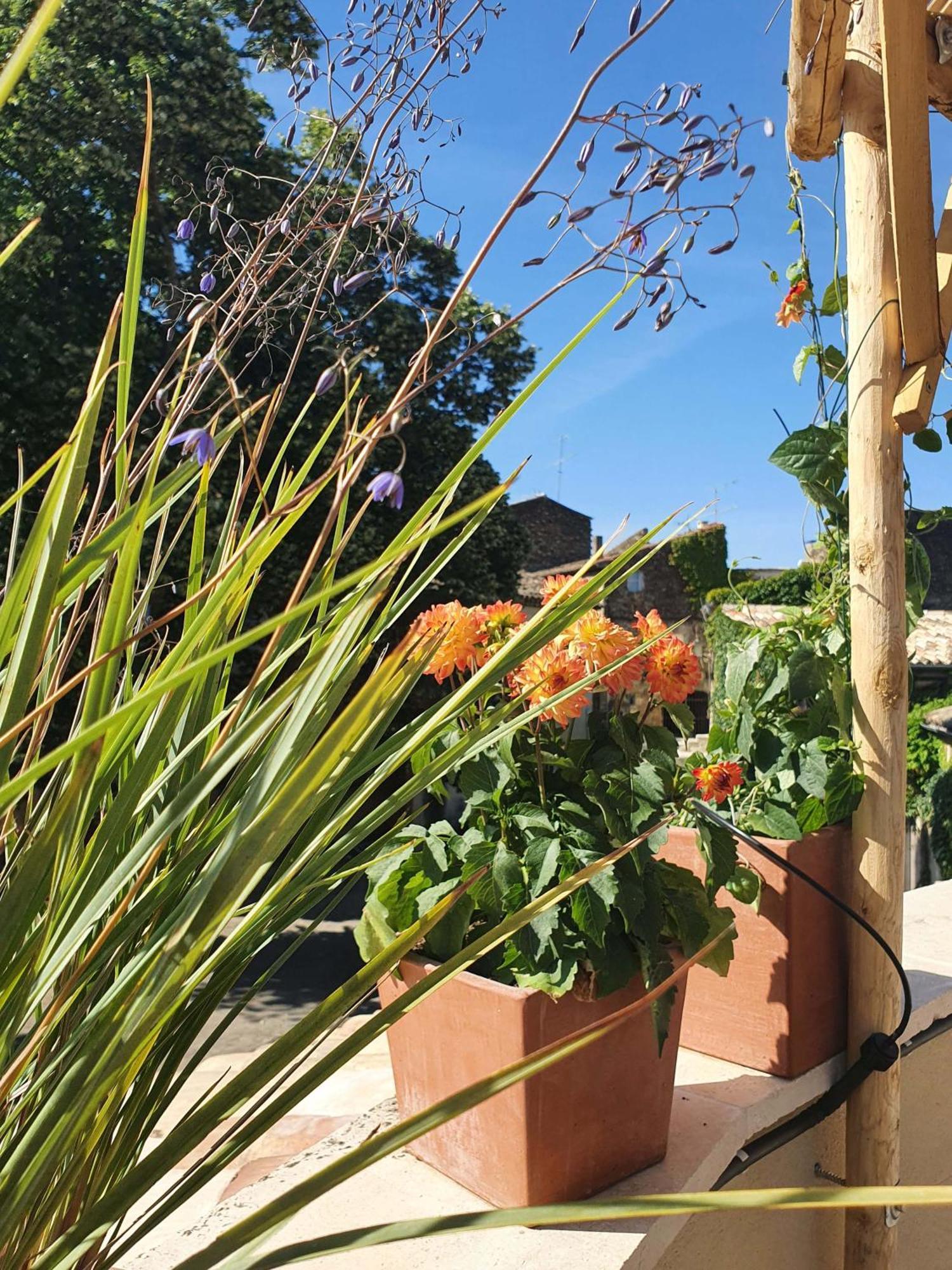 L'exquishette De Lourmarin, Un Nid Sur Les Toits. Hébergement de vacances